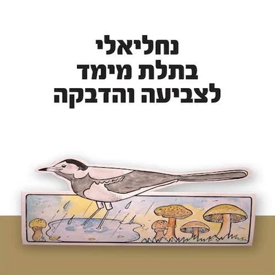נחליאלי בתלת מימד לצביעה