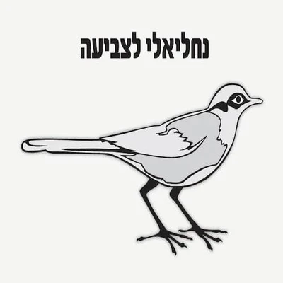 נחליאלי לצביעה 36 יח׳